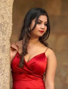 call girl service in Renapur